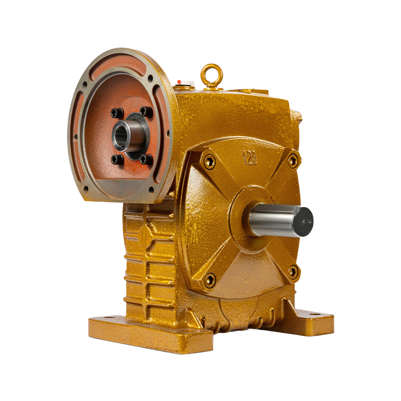 WP Worm Gear Reducer Series