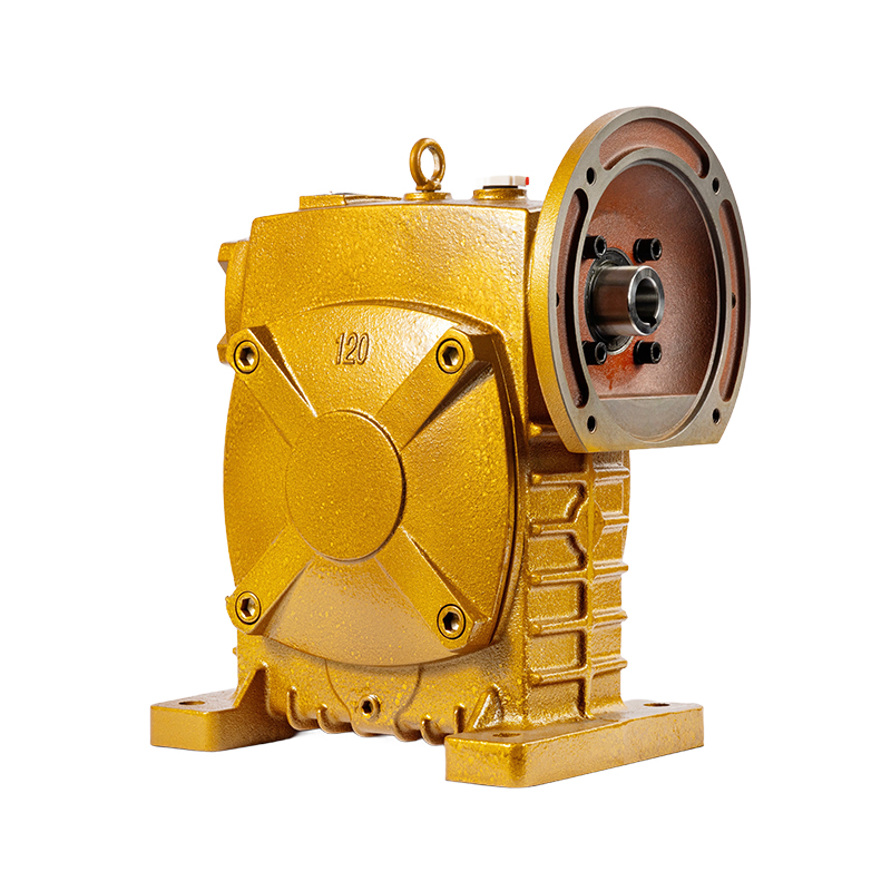 WP Worm Gear Reducer Series