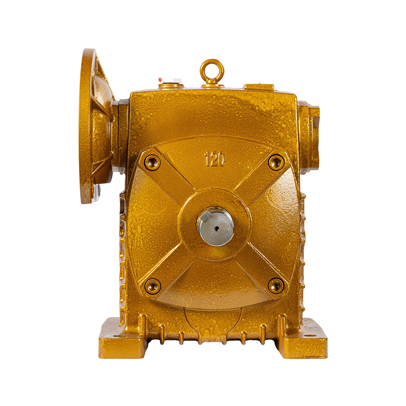 WP Worm Gear Reducer Series